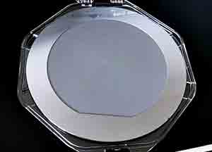 what does a pocket silicon wafer look like