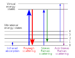 what does ramn spectroscopy look like?