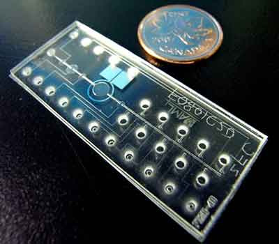 what does a microfluidic device look like