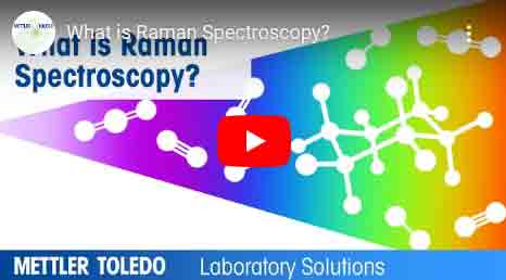 raman spectroscopy video