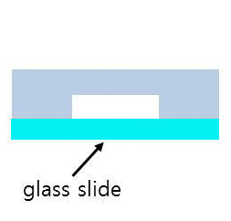 glass slide