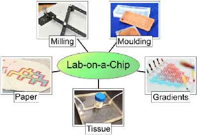 what does a lab on a chip look like