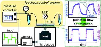 how does a microfluidic device flow