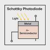 Schottky photodiode with metal and n-type semiconductor layers receiving light