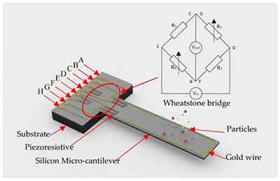 what does a micro-cantilever look like
