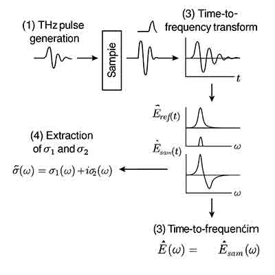 THz Spectroscopy THz pulse generation